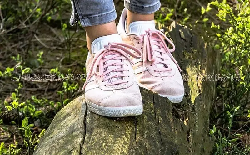 尊龙卡z6官方网站入口