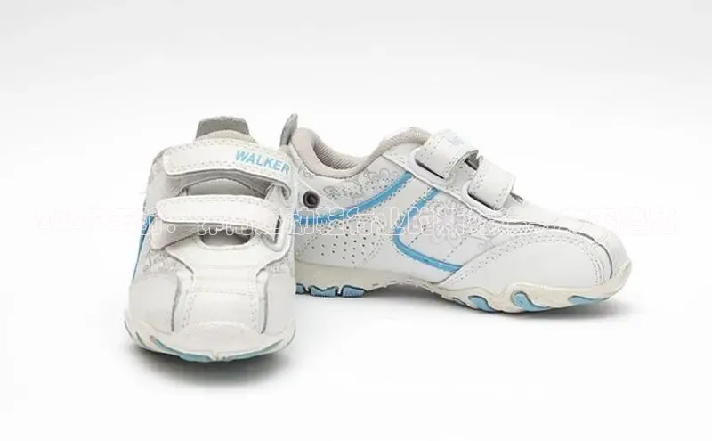 Z6·尊龙(官方认证)网站